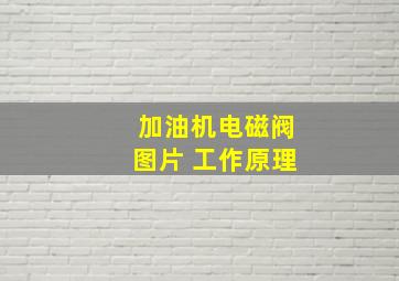 加油机电磁阀图片 工作原理